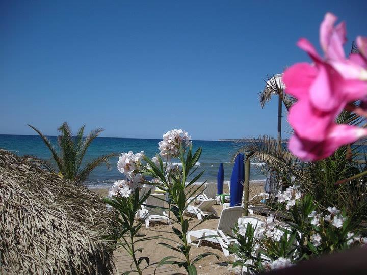 Vista Mare Daire Trappeto  Dış mekan fotoğraf
